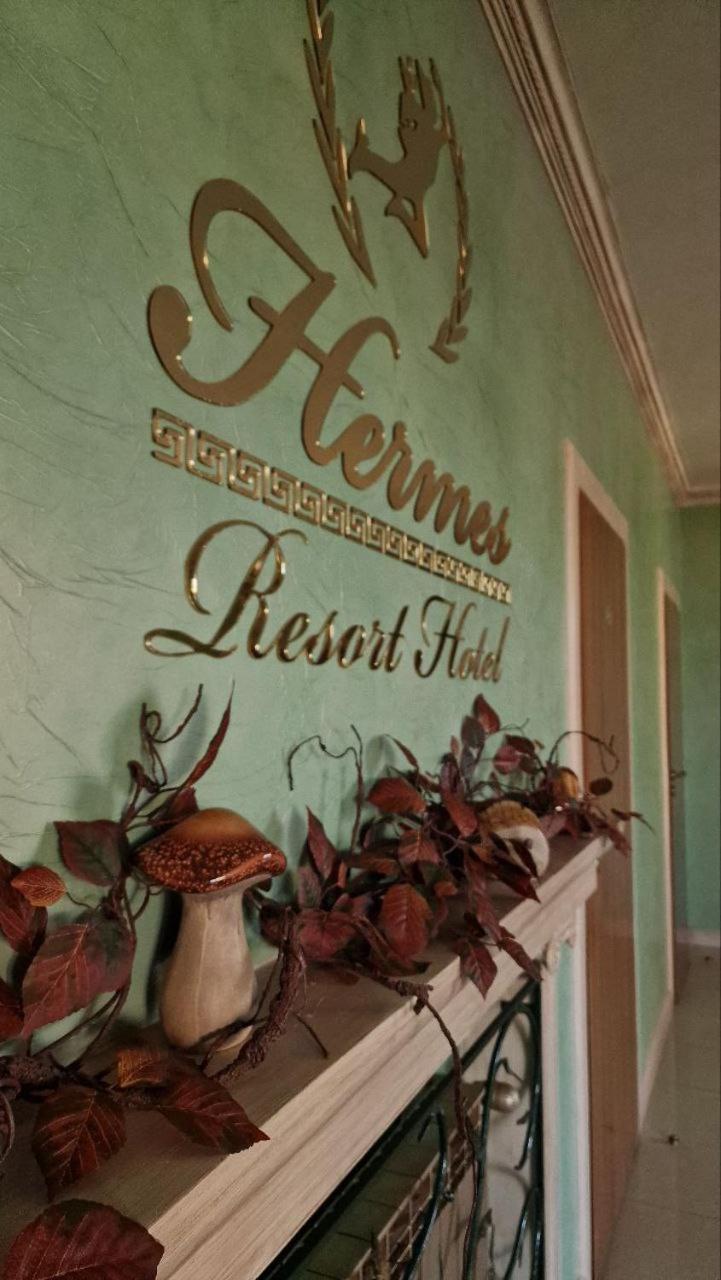 Hermes Resort Hotel With Medical Treatment تريسكافيتس المظهر الخارجي الصورة